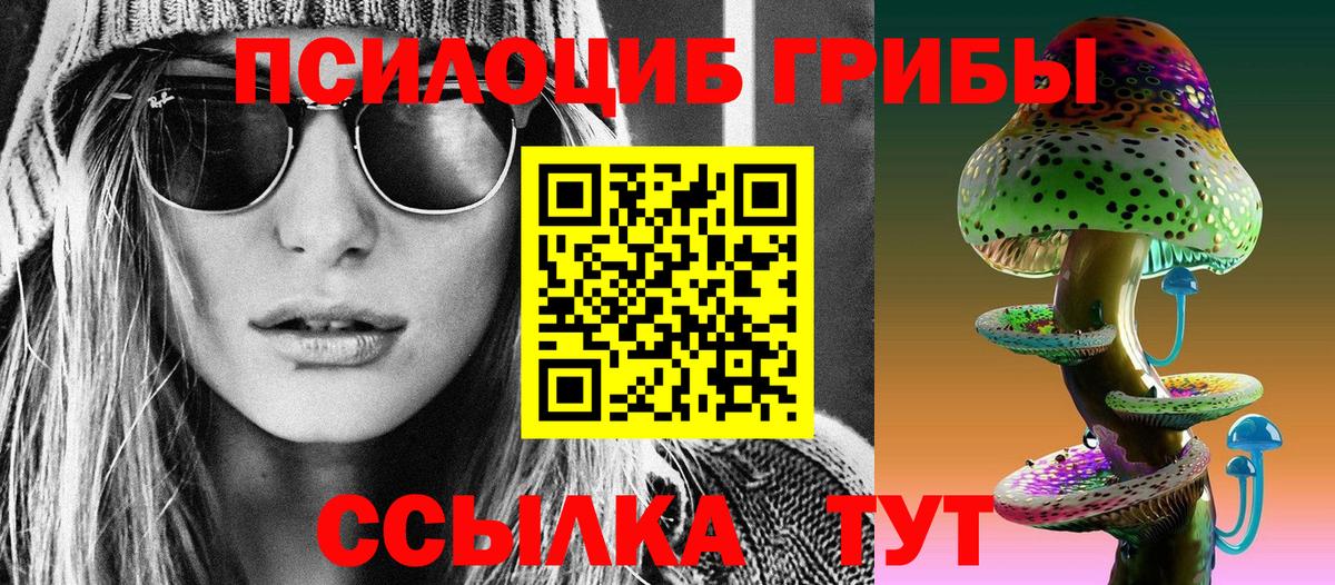 Галлюциногенные грибы Psilocybe  купить наркотики сайты  Галлюциногенные грибы GOLDEN TEACHER  Фрязино  Вход с VPN 